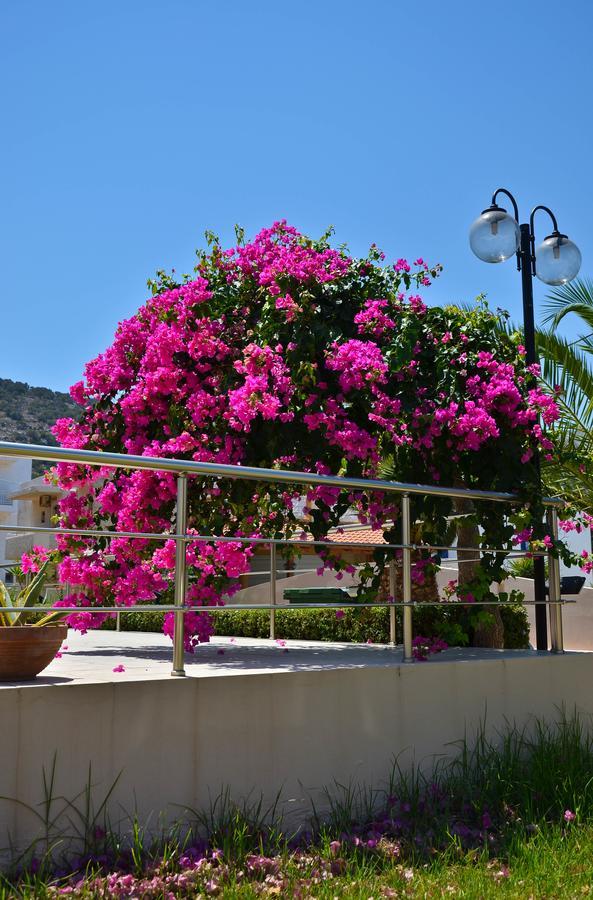 Niko Elen Otel Stalida Dış mekan fotoğraf